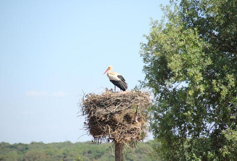 호텔 Casas Do Rio Sado Sado River Country Retreat