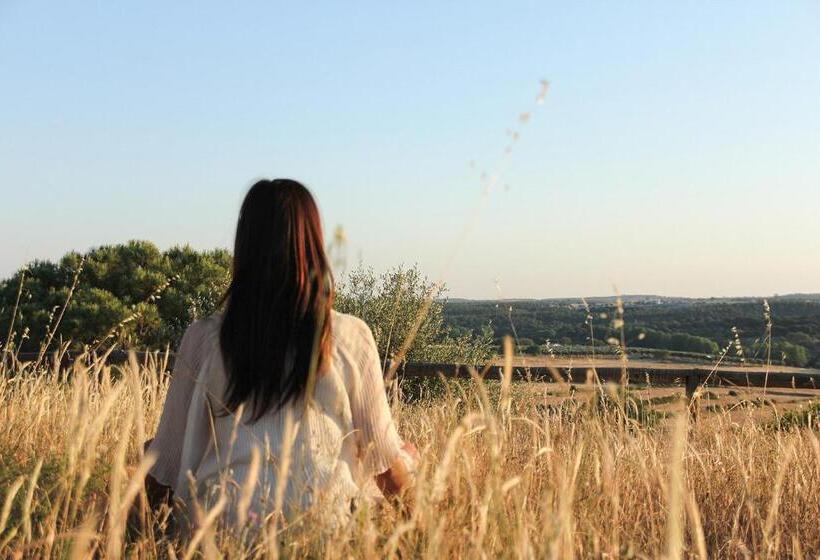 호텔 Casas Do Rio Sado Sado River Country Retreat