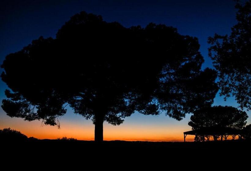 호텔 Casas Do Rio Sado Sado River Country Retreat