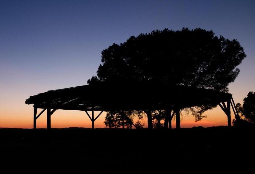 호텔 Casas Do Rio Sado Sado River Country Retreat