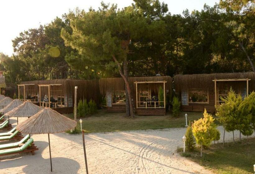 هتل Green Pine Bungalows & Beach Luxury Concept