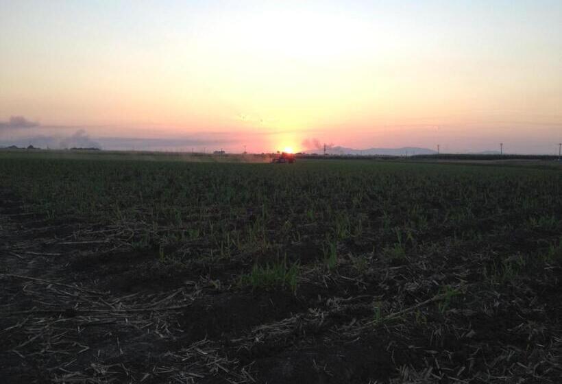 فندق على الطريق Plantation Park Motor Inn