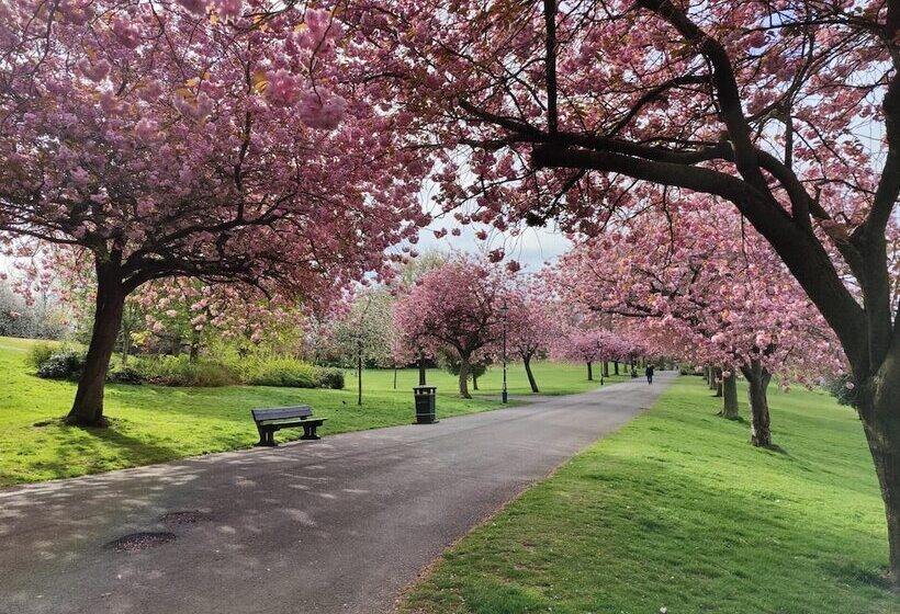 New Fabulous 2bd Maisonette Dunfermline, Fife