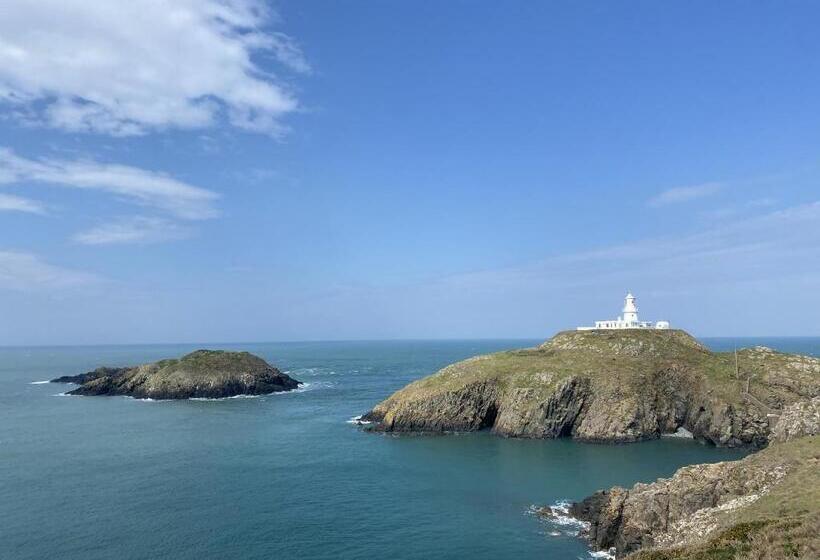 بنسيون Gwynfryn Guest House