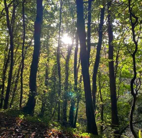 膳宿费 Gwynfryn Guest House