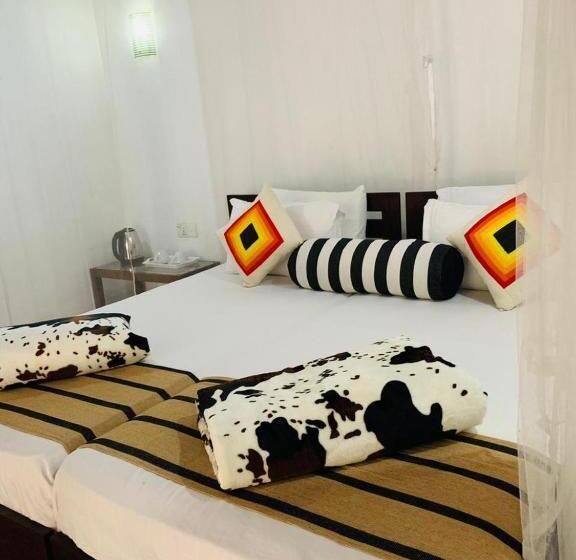 Hostel Little Cottage