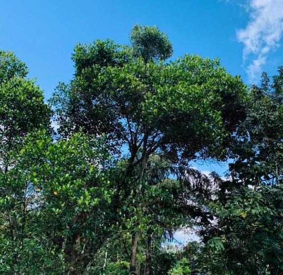 Hostel Little Cottage