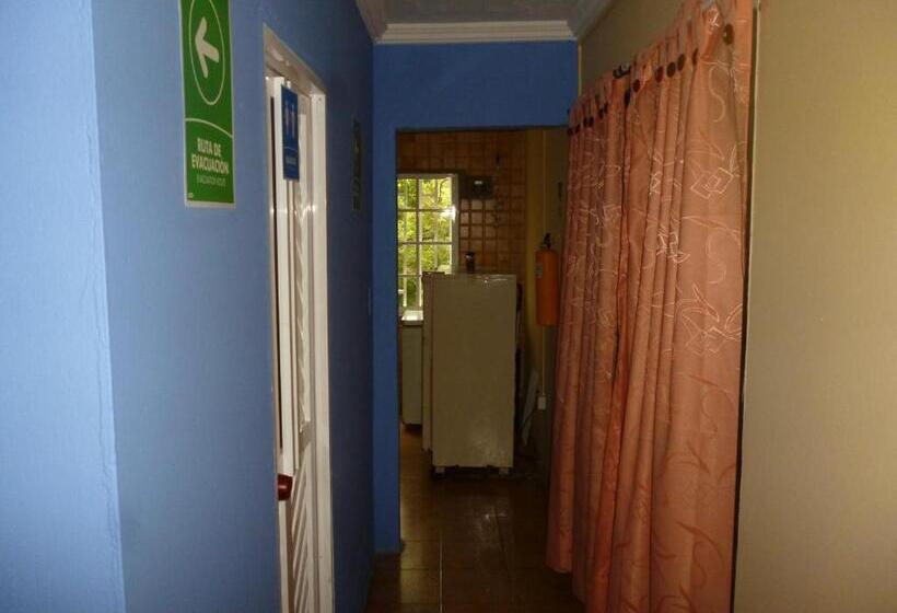 ユースホステル Posada Nativa Miss Casira