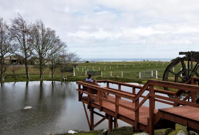 هاستل Stations Inn