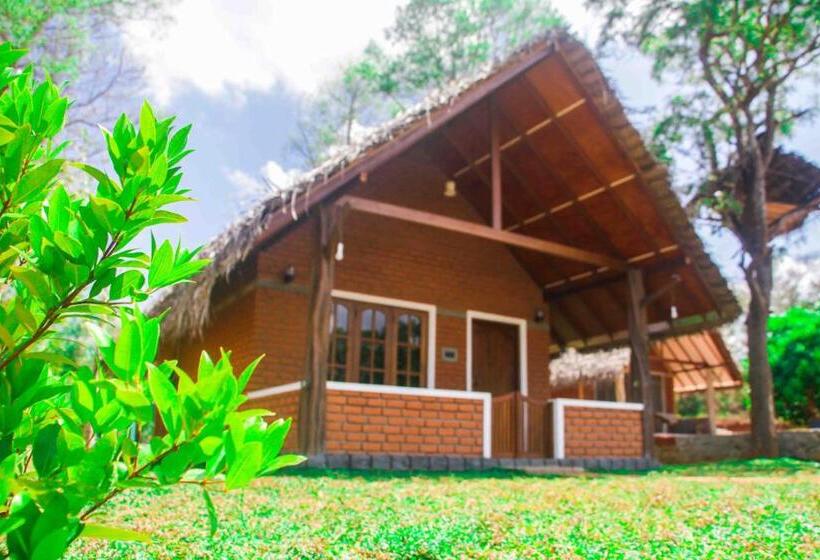 ベッドアンドブレックファースト Sigiriya Nature Resort