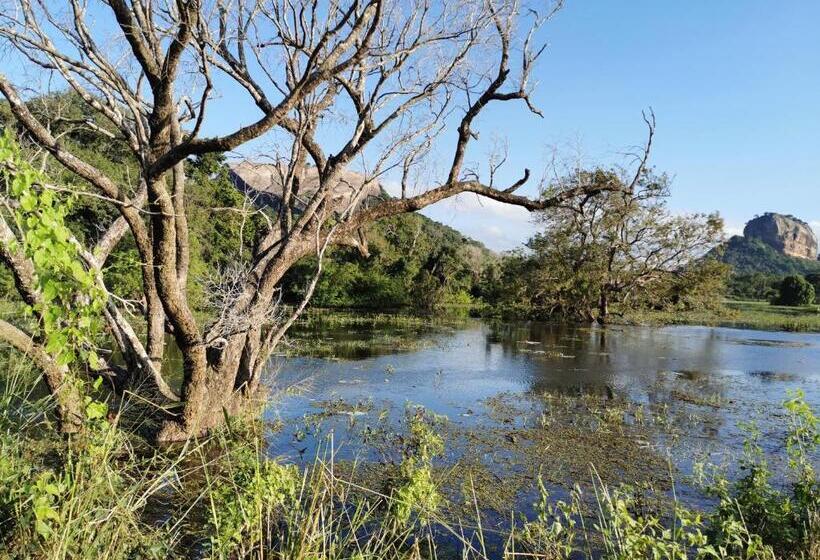 ベッドアンドブレックファースト Sigiriya Nature Resort