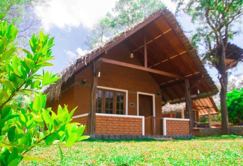 住宿加早餐 Sigiriya Nature Resort