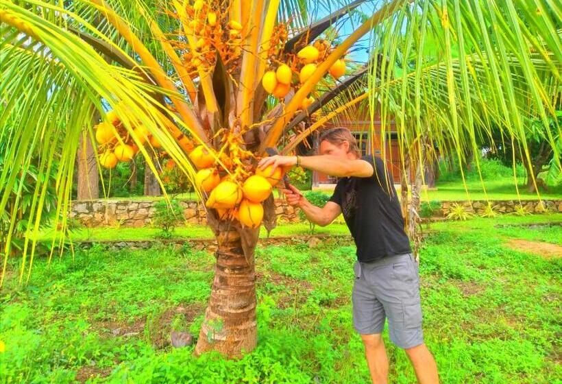 ベッドアンドブレックファースト Sigiriya Nature Resort