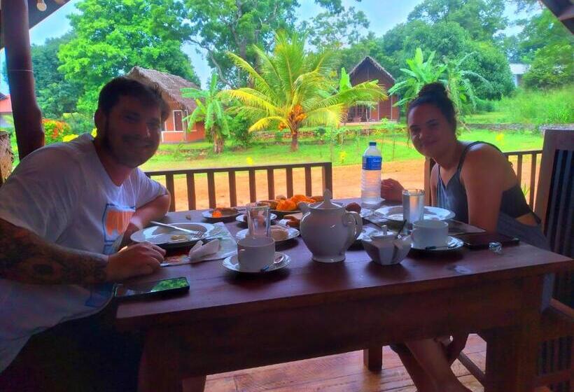 住宿加早餐 Sigiriya Nature Resort