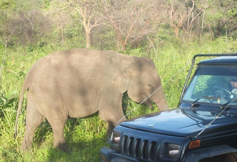 ベッドアンドブレックファースト Sigiriya Nature Resort