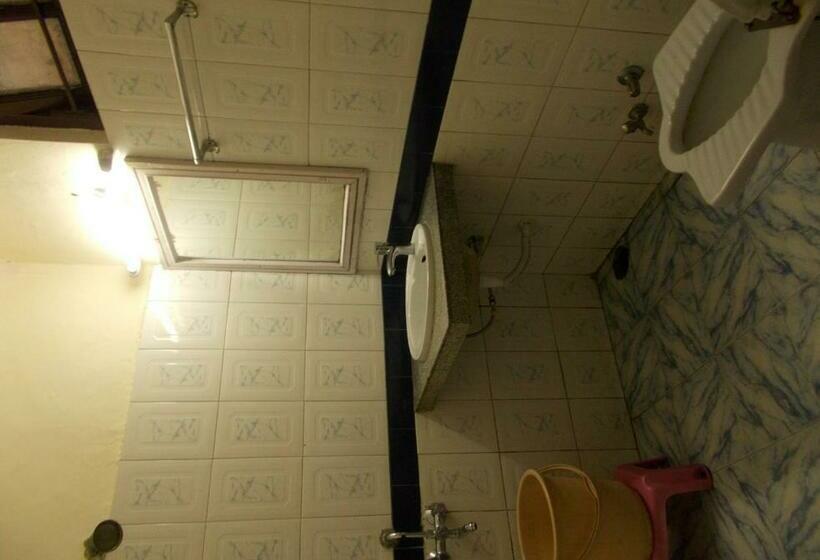 فندق Mansarovar Palace