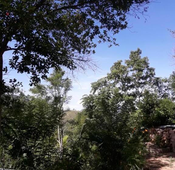 ペンション Ella Green Stay