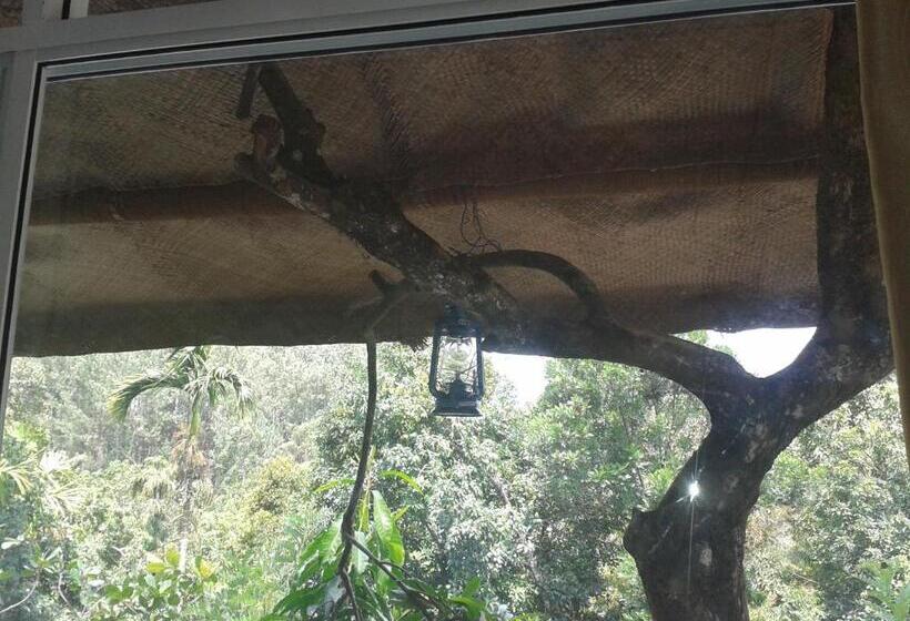 ペンション Ella Green Stay