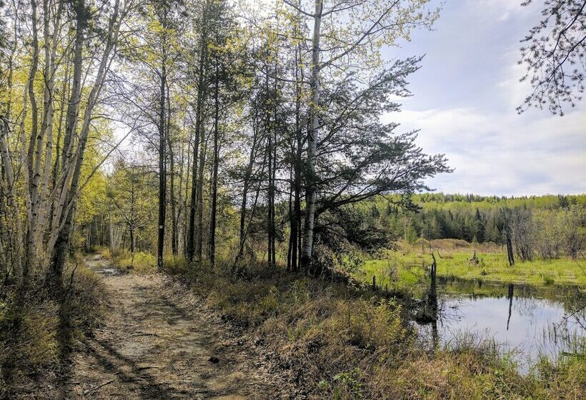 Курорт Les Condos Du Lac Taureau Rooms & Condos