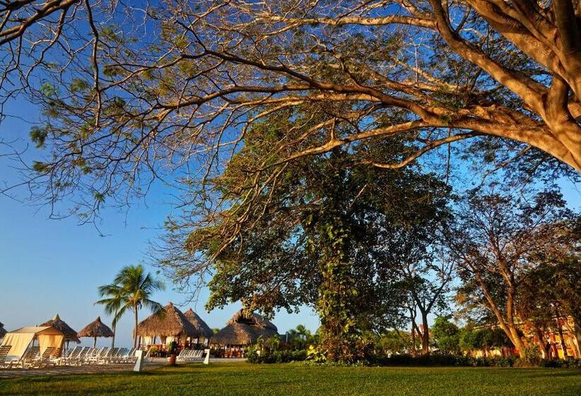 リゾートホテル Royal Decameron Panama All Inclusive Plus