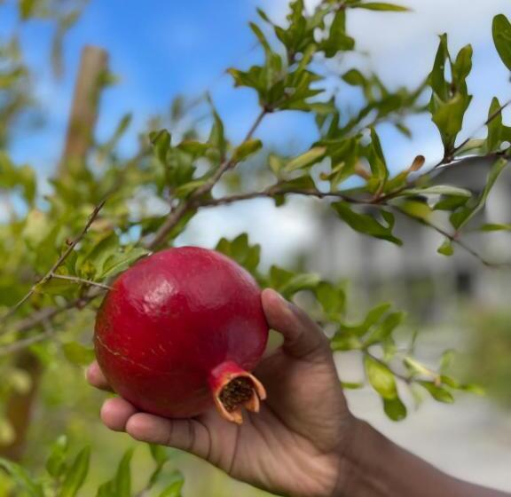 منتجع Santé Wellness Retreat & Spa