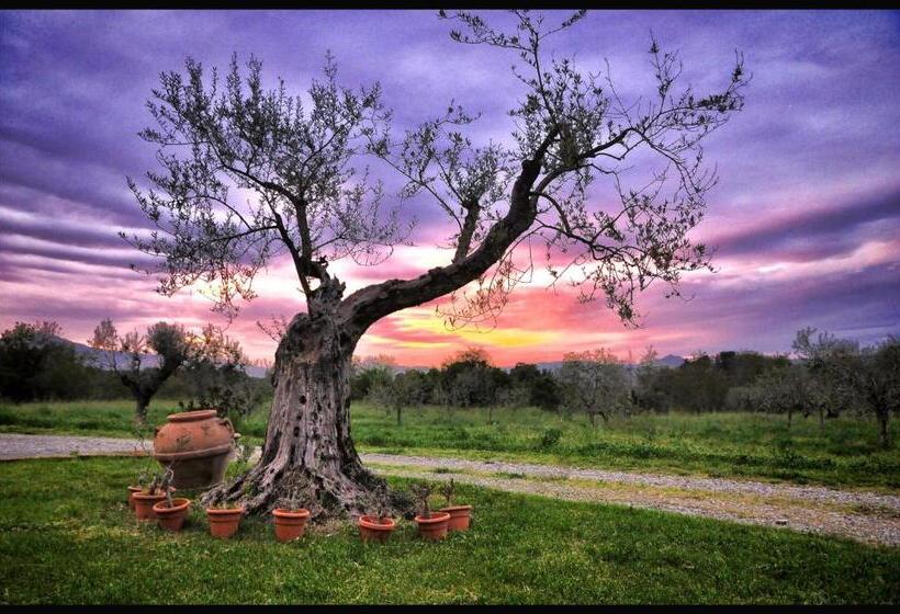 B&b Predio San Fernando