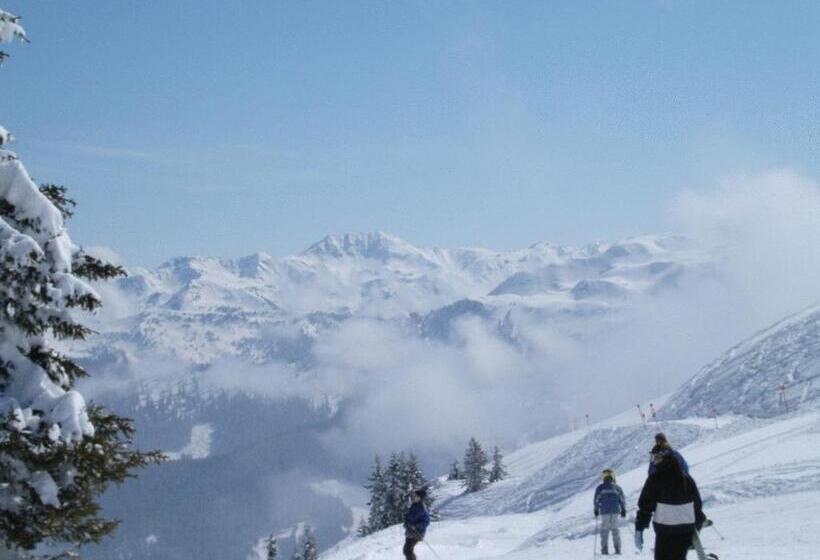 住宿加早餐  Pension Waidmannsruh