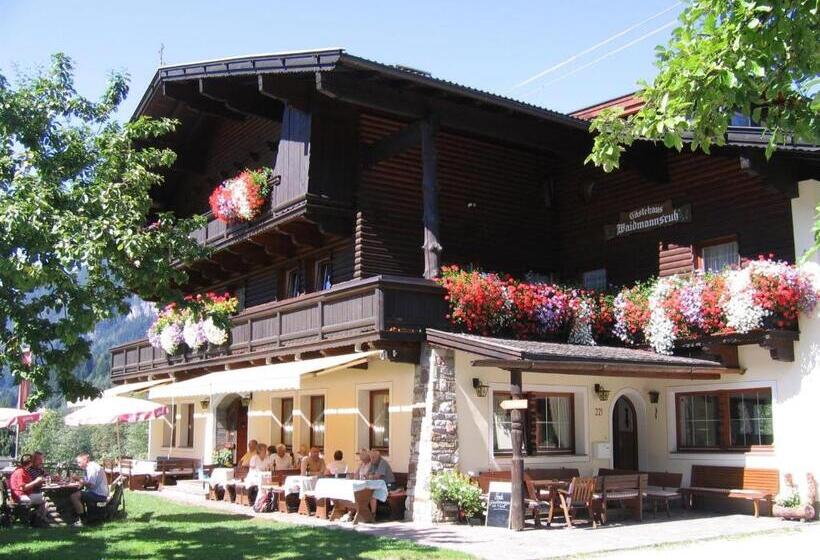 住宿加早餐  Pension Waidmannsruh