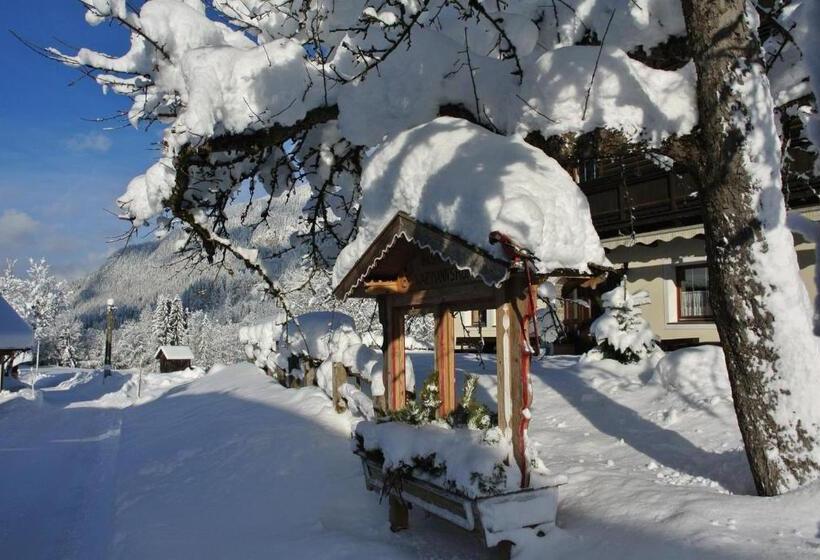 住宿加早餐  Pension Waidmannsruh
