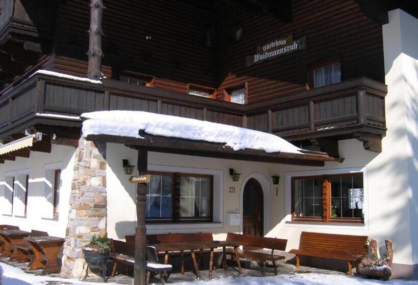 住宿加早餐  Pension Waidmannsruh