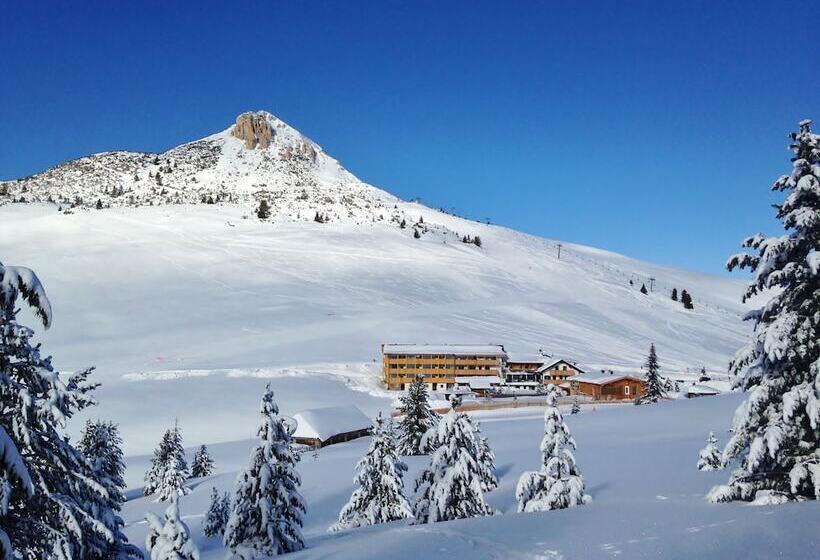 Berghotel Jochgrimm   Your Dolomites Home