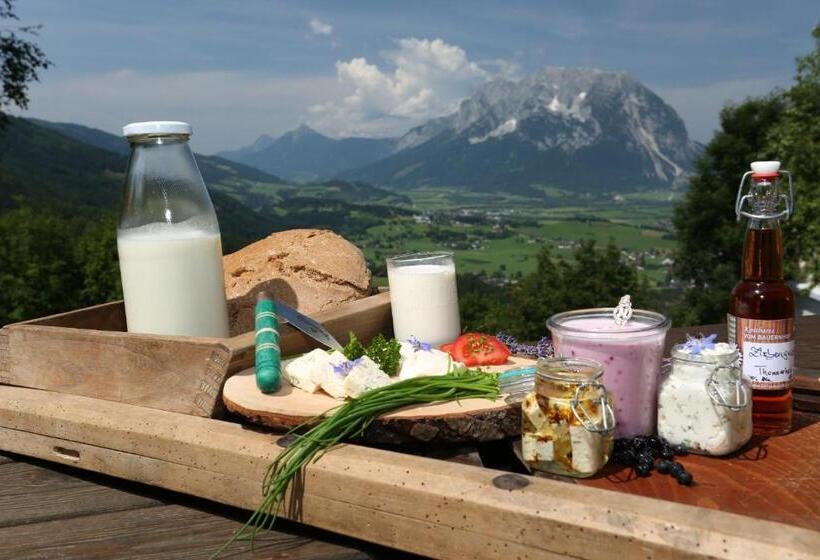 Bio  Erlebnis Bauernhof Thonnerhof