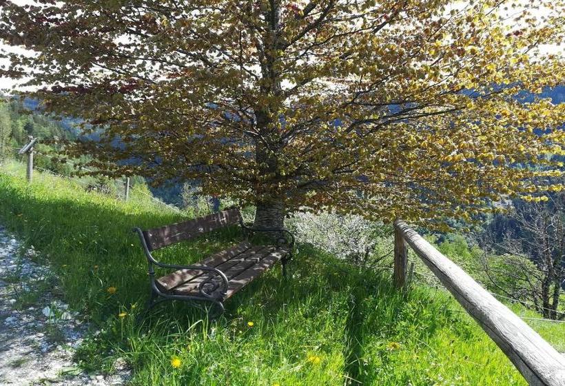 Bio  Erlebnis Bauernhof Thonnerhof