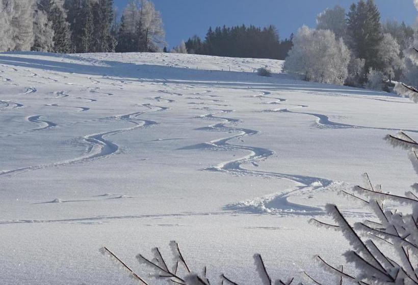 Bio  Erlebnis Bauernhof Thonnerhof
