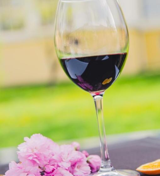 Boutique Hotel Villa P