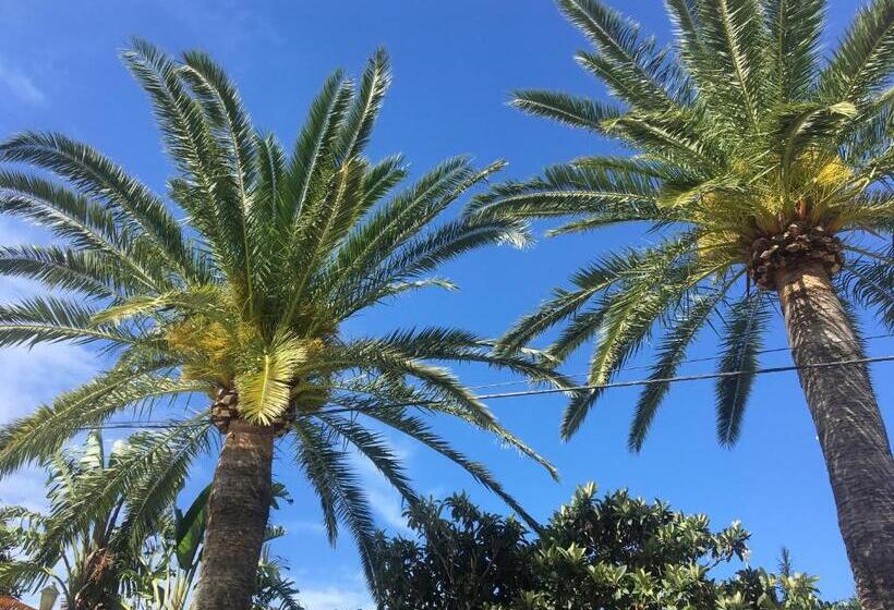 호텔 Antonio Conil