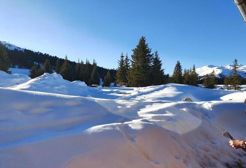 בית מלון כפרי Appartement Pension Bäckenhäusl Ferienwohnungen Chalets Hütten Komfortzimmer