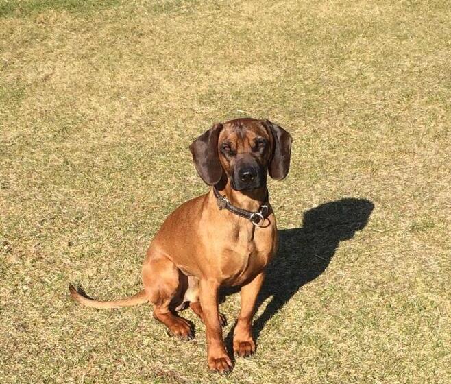 Отель Bio Bauernhof Anawander