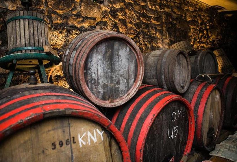 ホテル Borbarátok Panzió