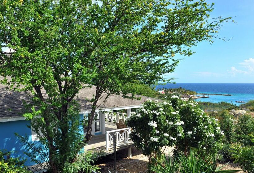 هتل Chogogo Dive & Beach Resort Curacao