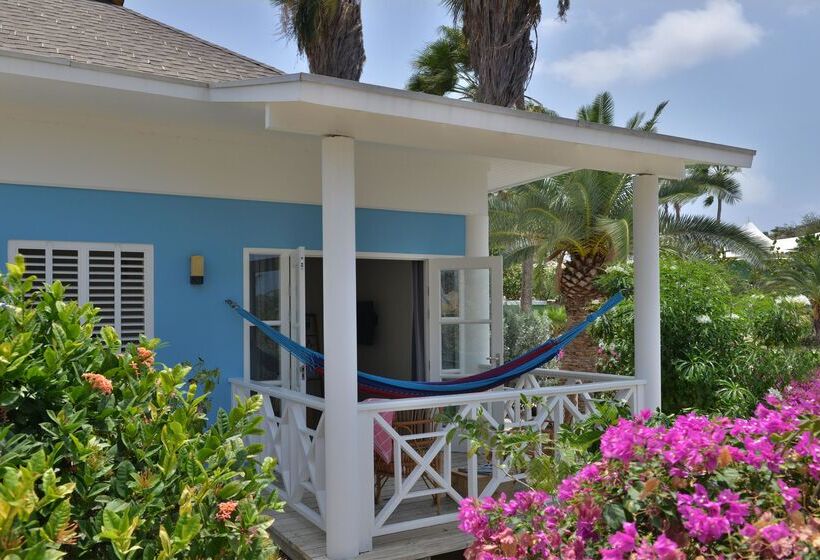 هتل Chogogo Dive & Beach Resort Curacao