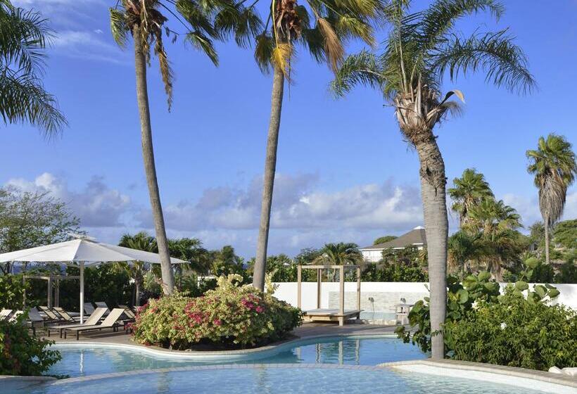 هتل Chogogo Dive & Beach Resort Curacao