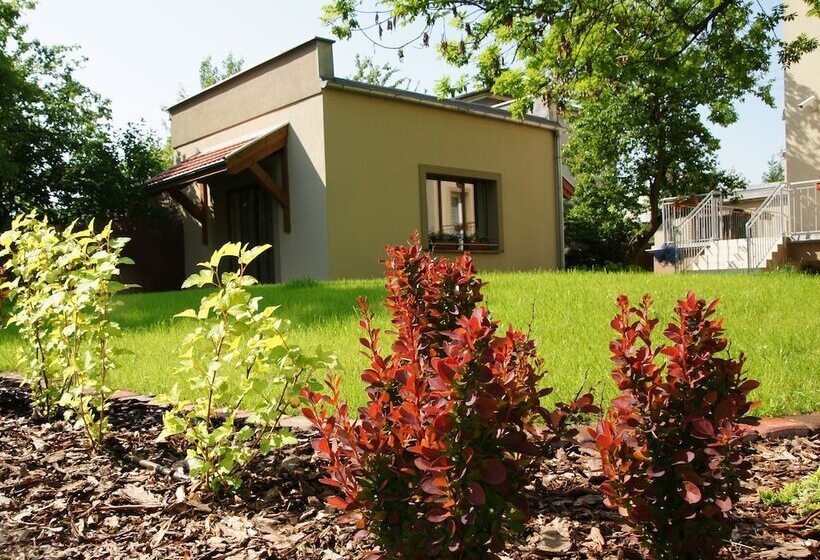 בית מלון כפרי City Center House Elephant