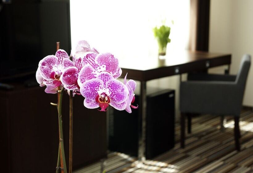 בית מלון כפרי City Center House Elephant