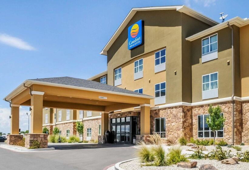 فندق Comfort Inn & Suites Artesia