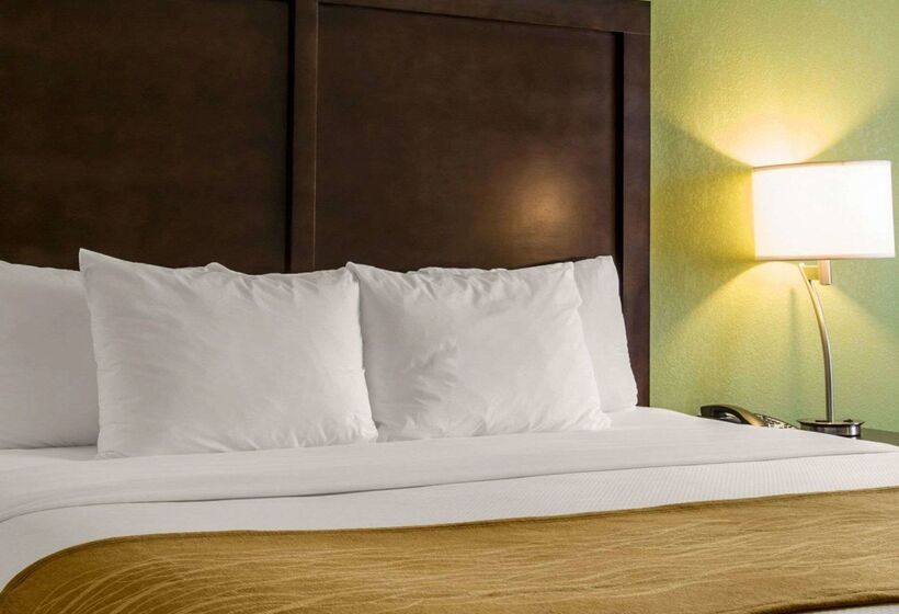 酒店 Comfort Inn Sylva  Cullowhee