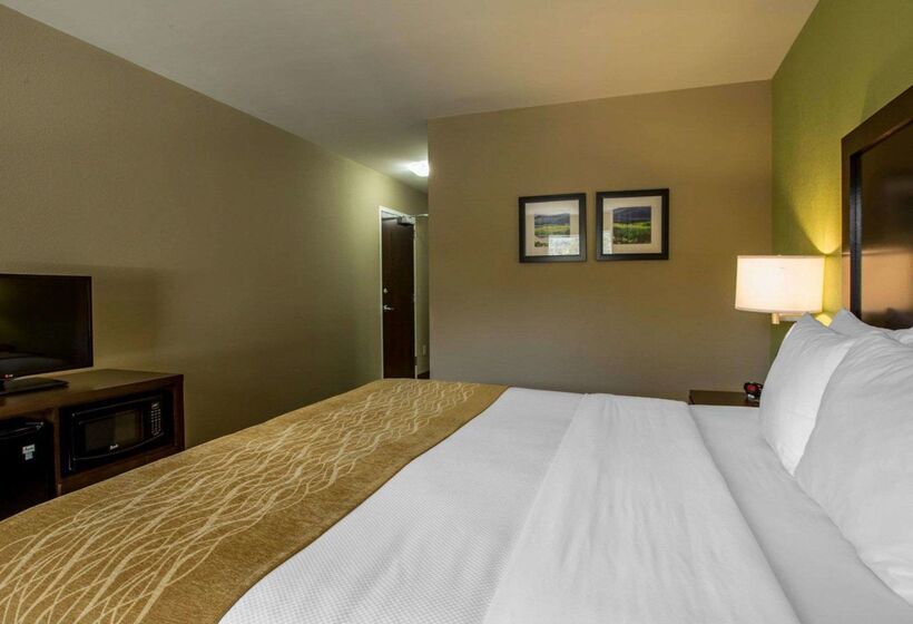 酒店 Comfort Inn Sylva  Cullowhee