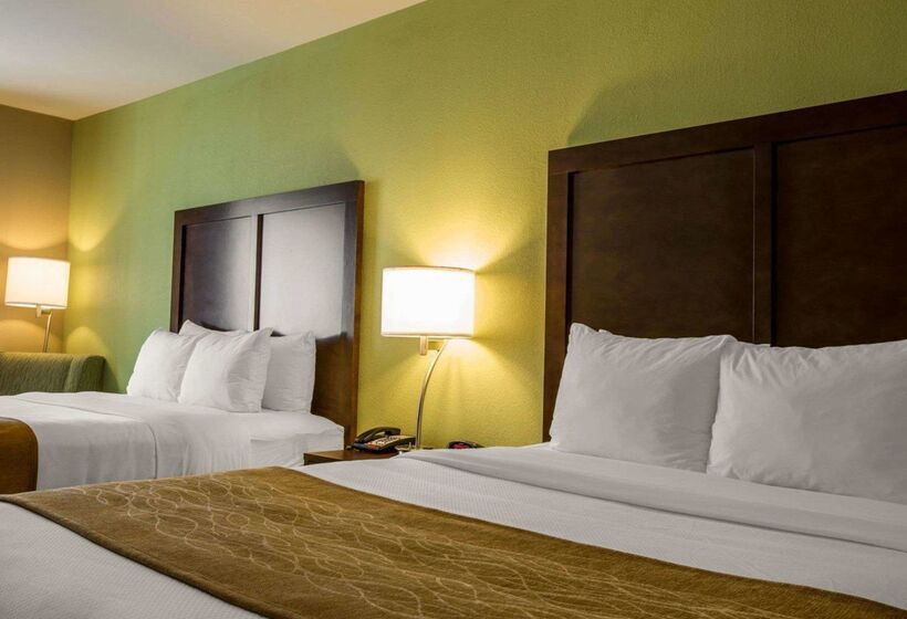 酒店 Comfort Inn Sylva  Cullowhee