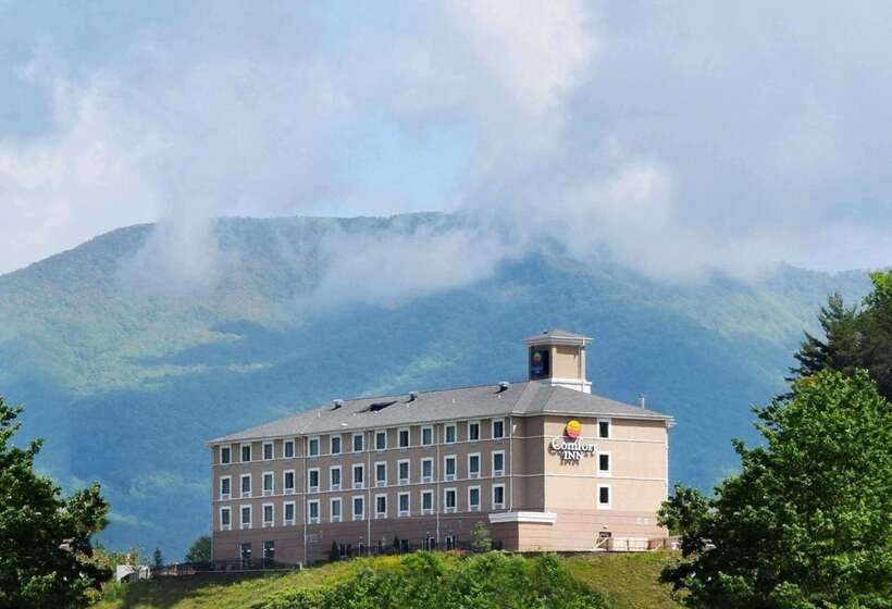 酒店 Comfort Inn Sylva  Cullowhee