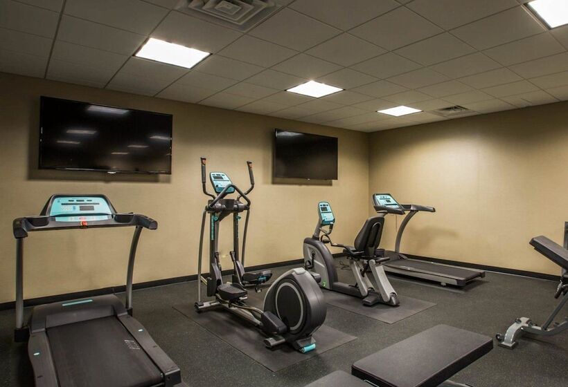 酒店 Comfort Inn Sylva  Cullowhee